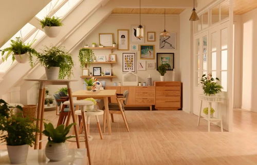 餐廳吊頂的秘訣 情人節無需去飯店，家里已經夠浪漫